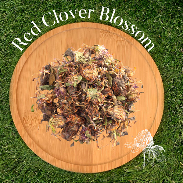 Red Clover