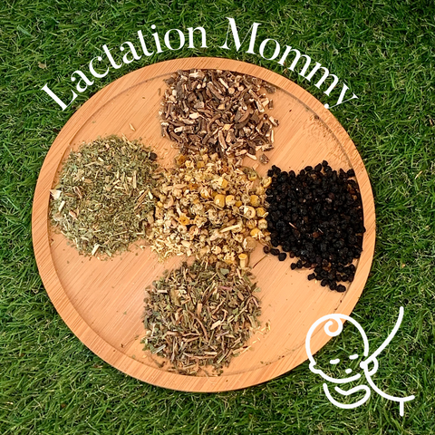 Lactation Mommy Support