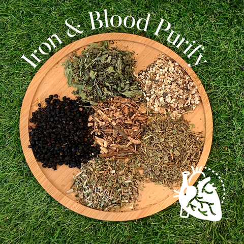 Iron & Blood Purifying Support